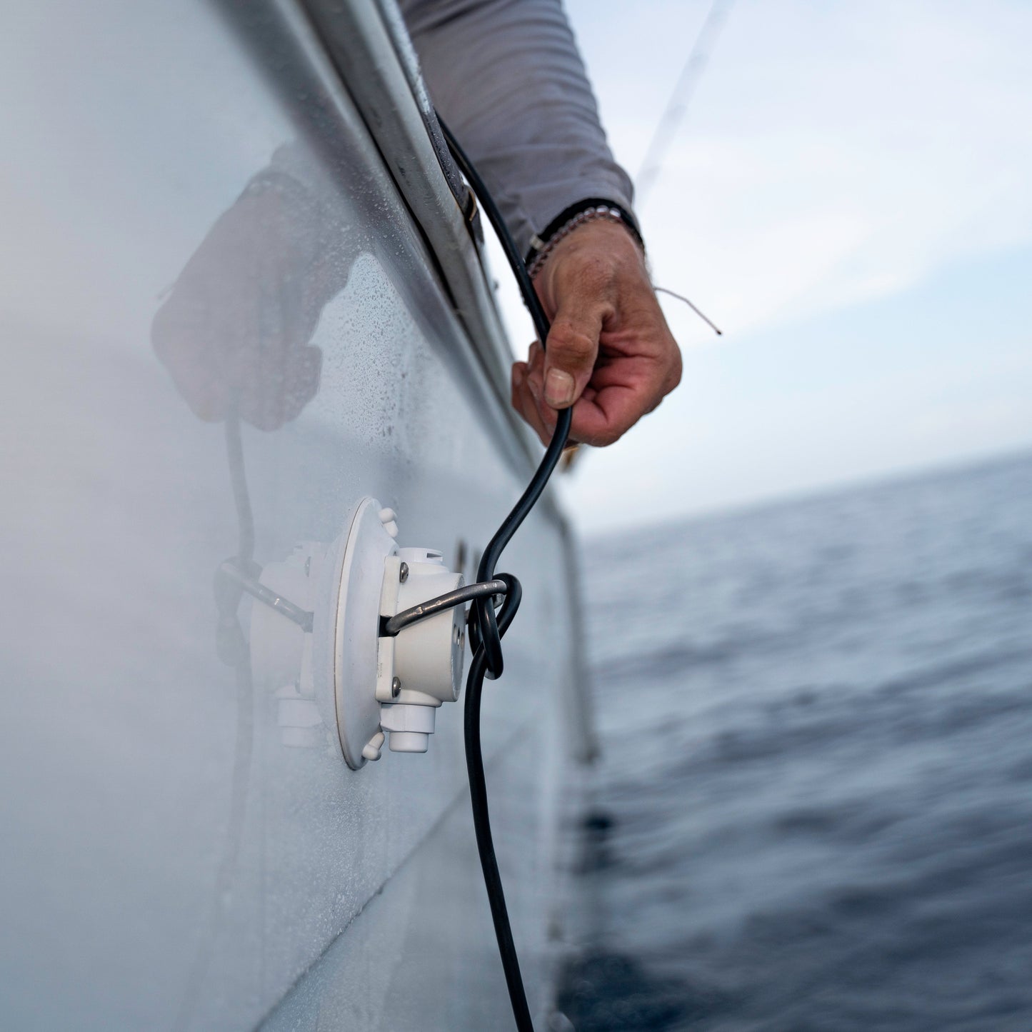 Ventouse SeaSucker 11 cm à anneau inox